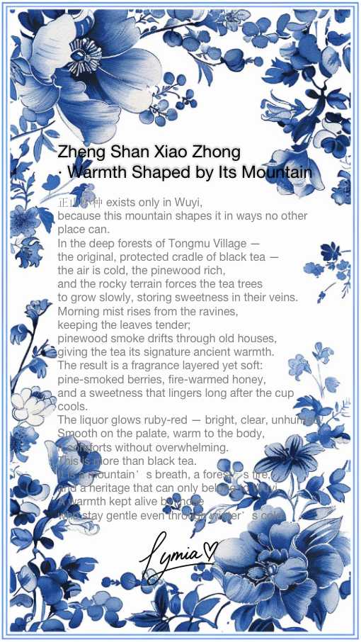 6-cup-MIROCK Wuyi Black Tea · Zheng Shan Xiao Zhong · Medium Box